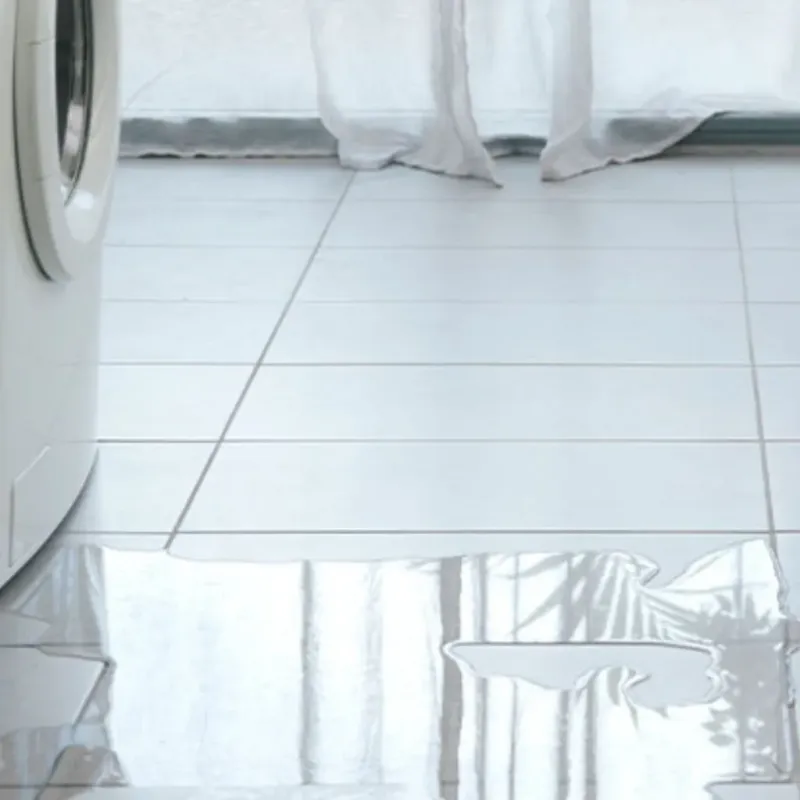 Appliance Leak Cleanup in Union City, MI