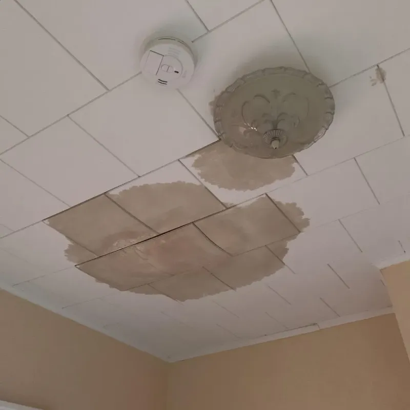 Ceiling Water Damage Repair in Union City, MI