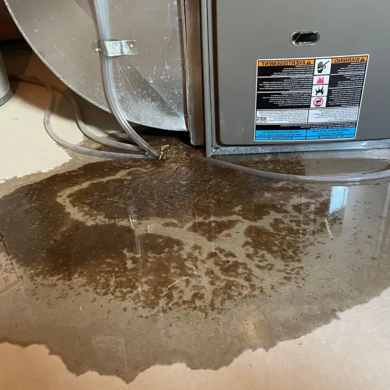 Pipe Burst and Leak Restoration in Union City, MI