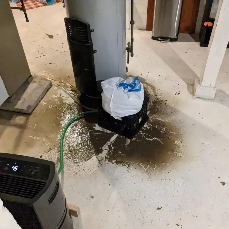 Sewage Backup Cleanup Service in Union City, MI